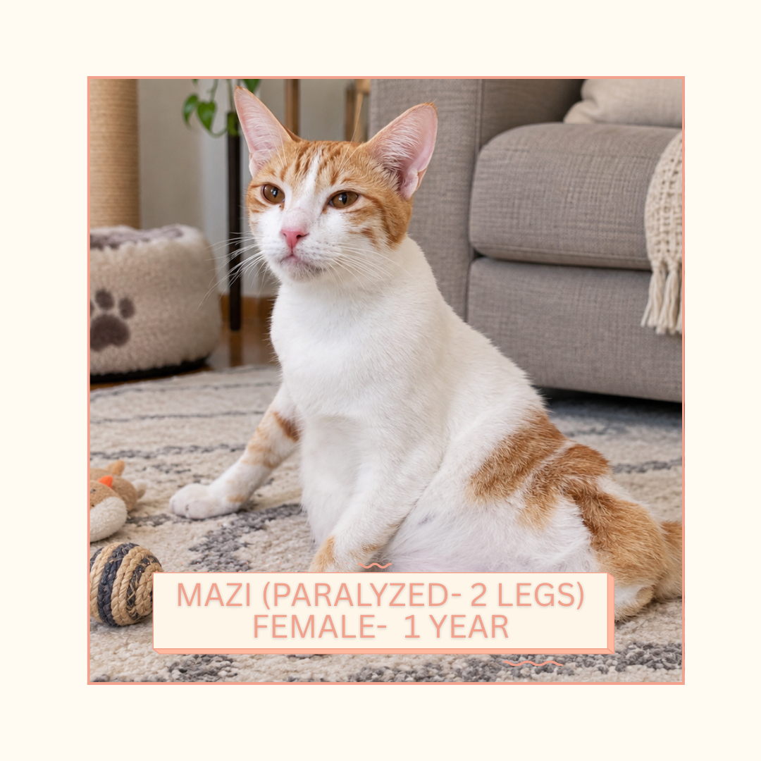 Mazi