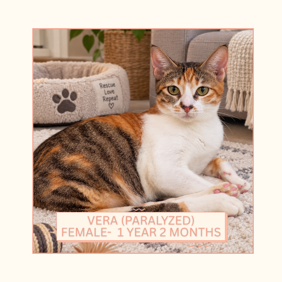 Vera