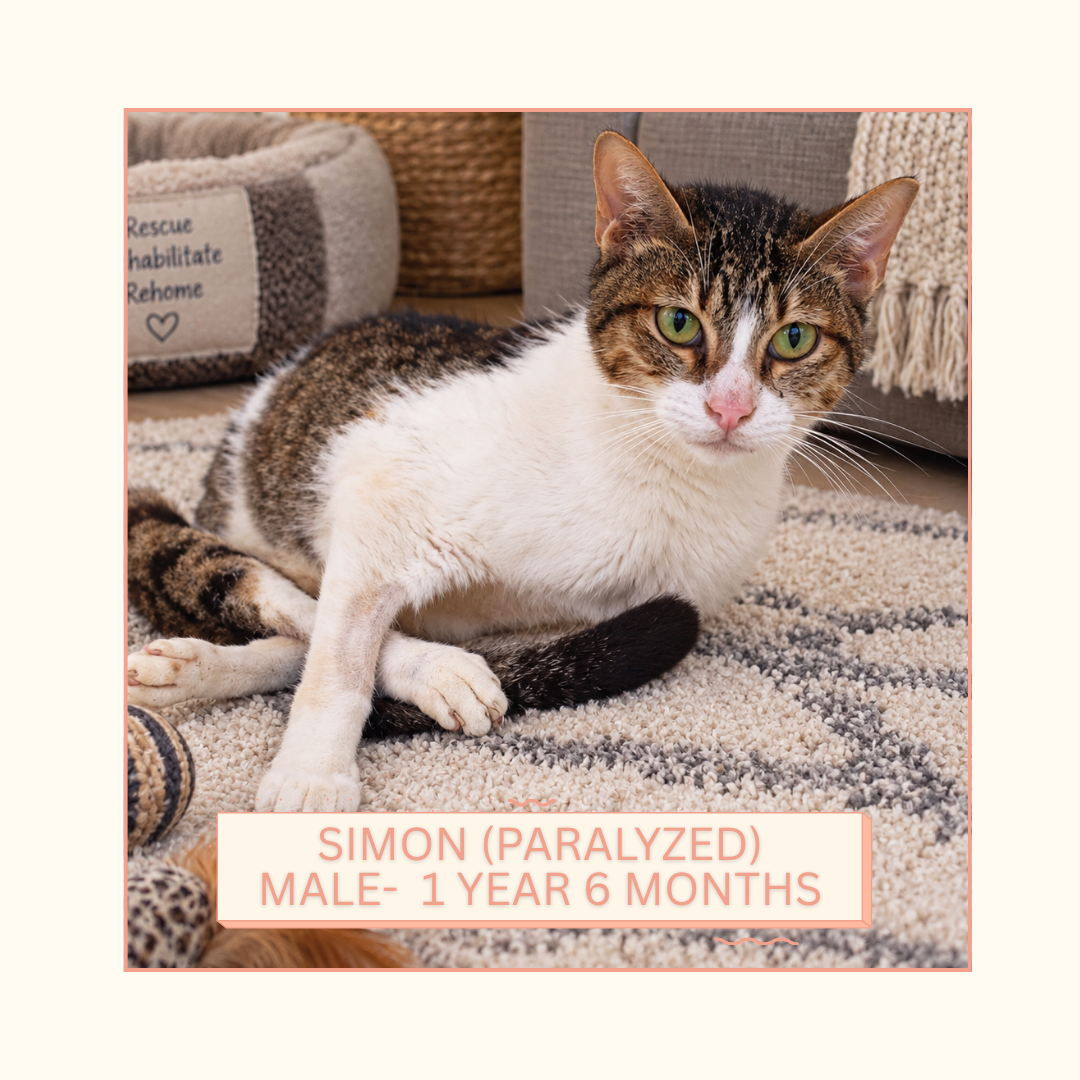 Simon