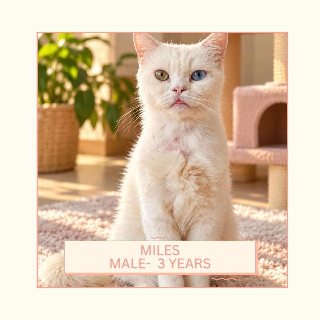 Miles