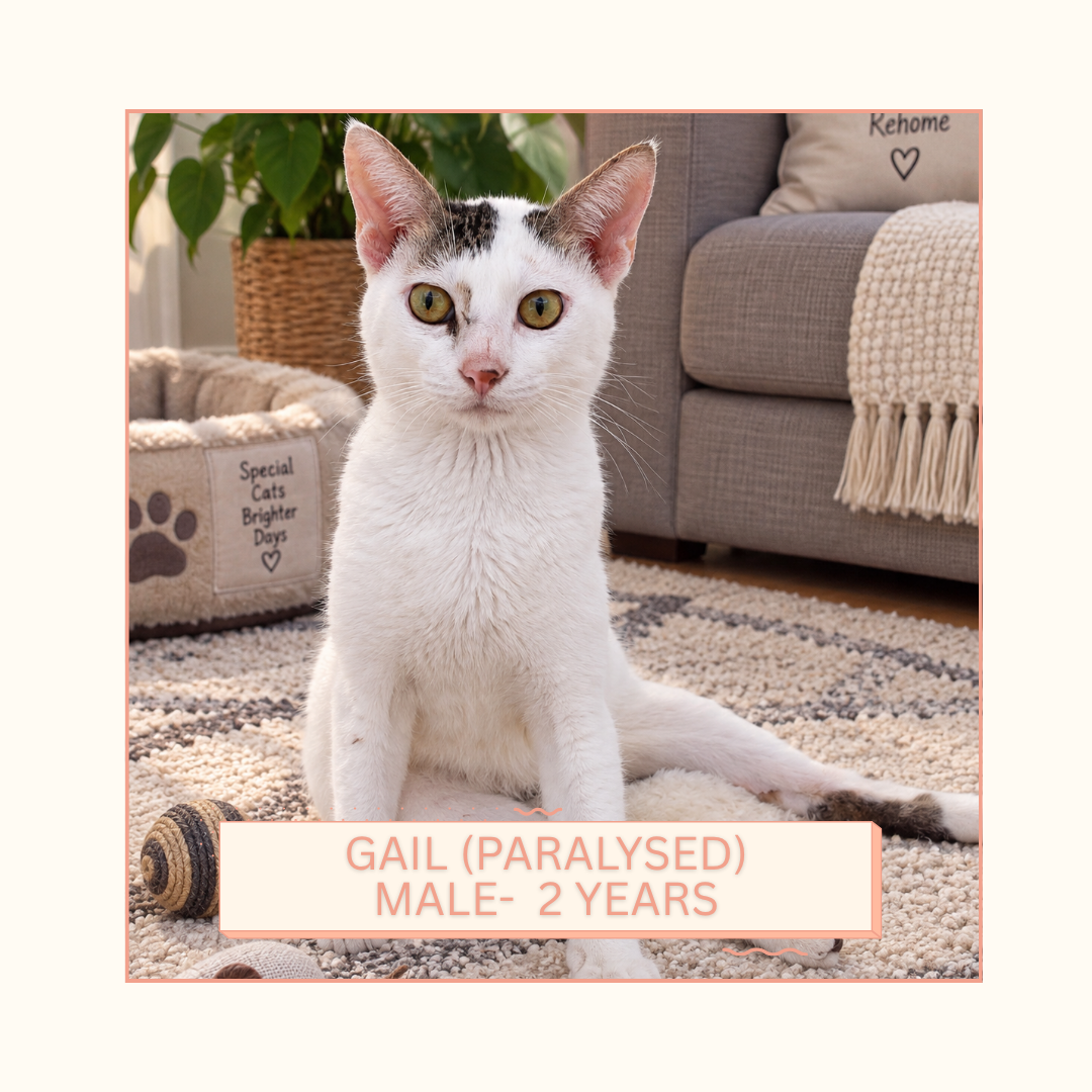 Gail