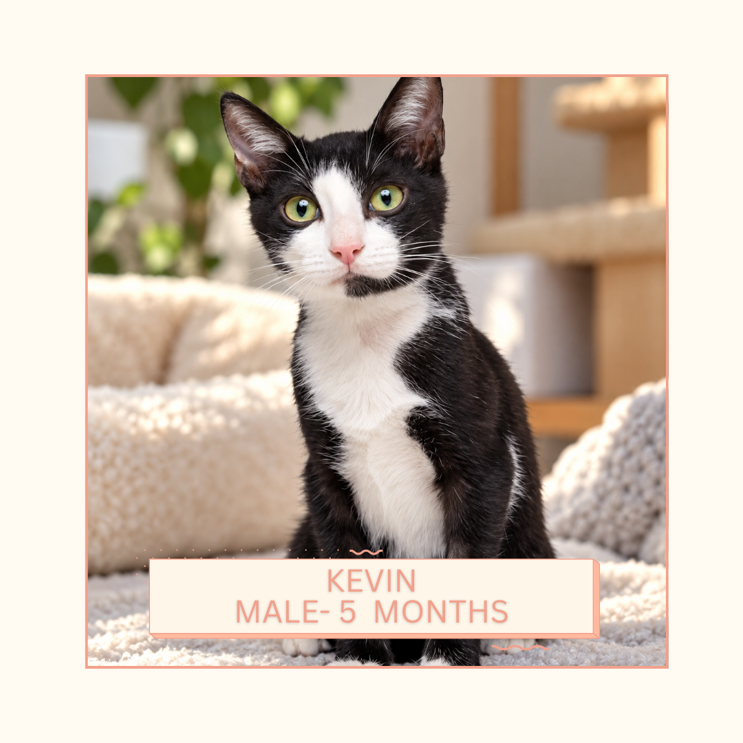 Kevin