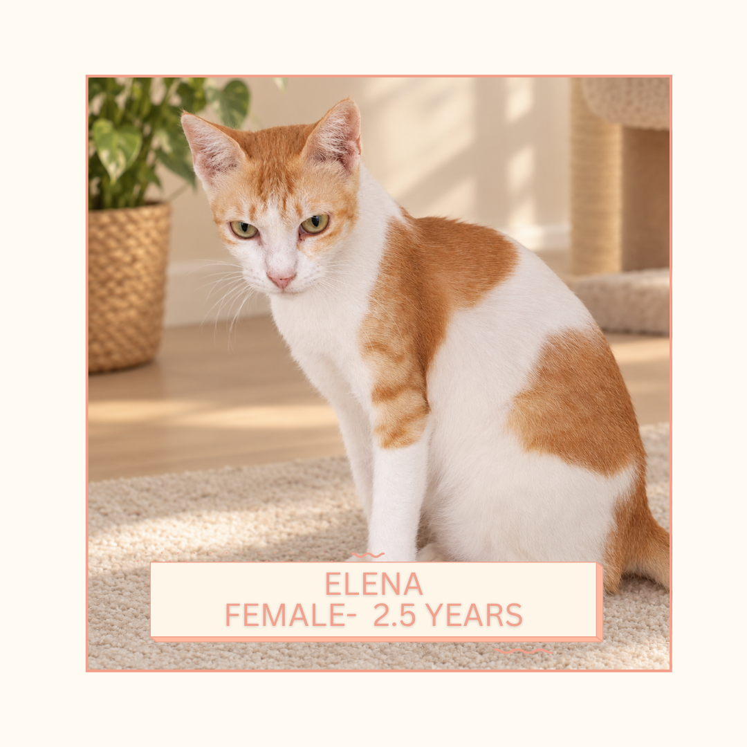 Elena