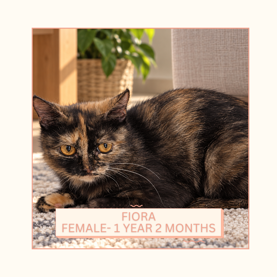 Fiora