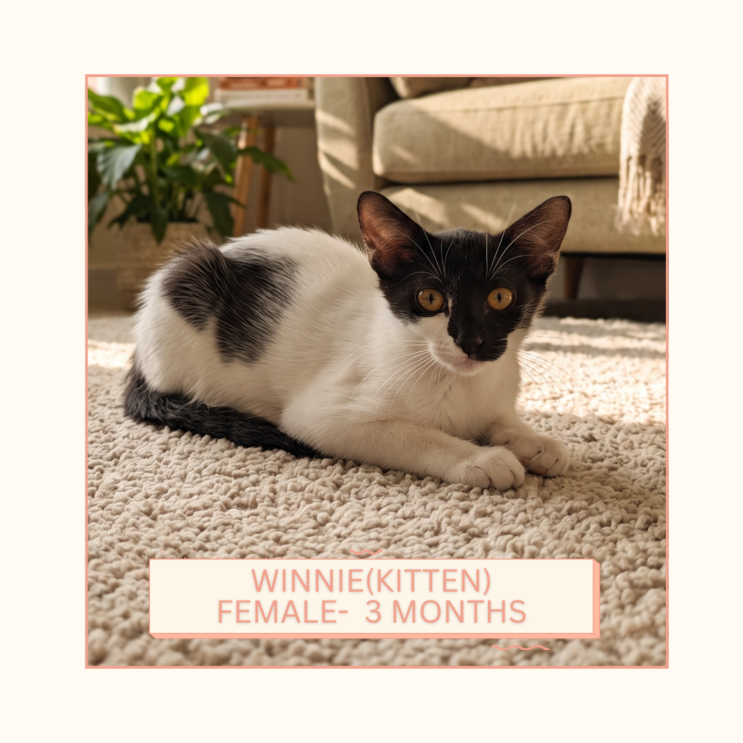 Winnie