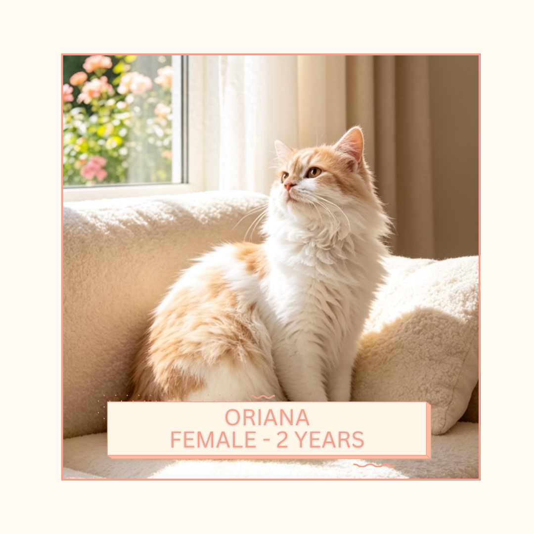 Oriana