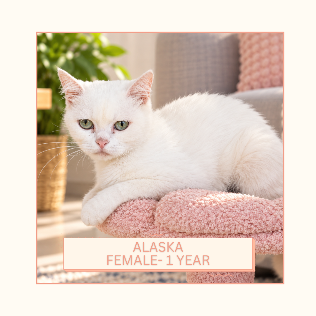 Alaska