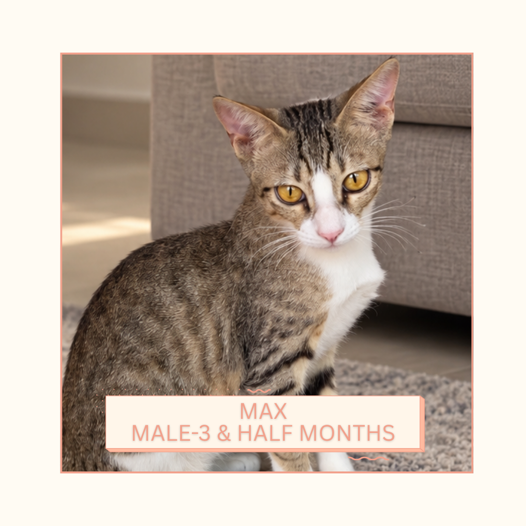 Max