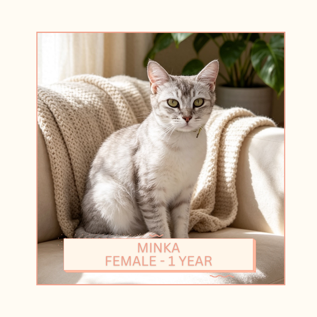 Minka