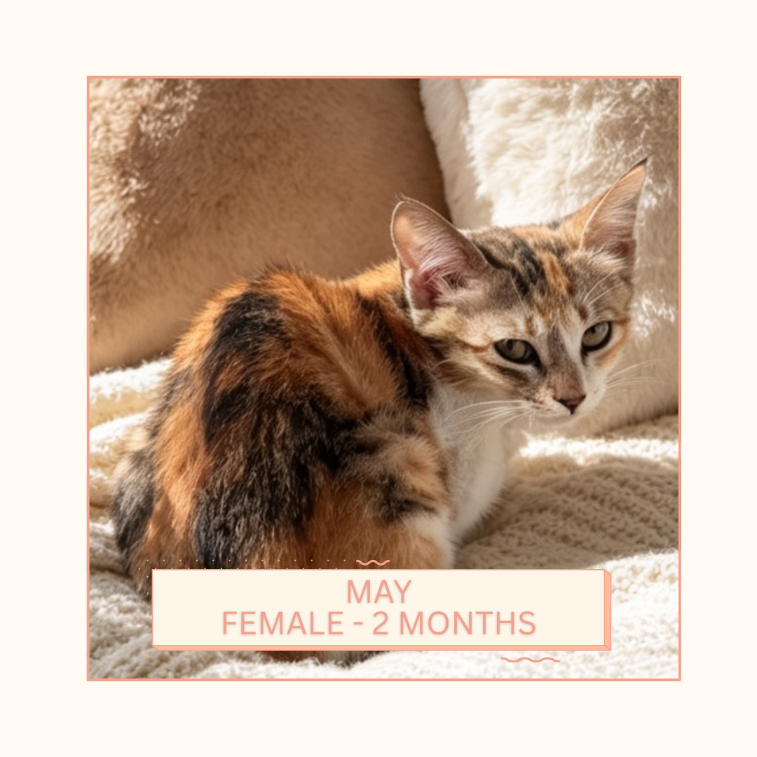May