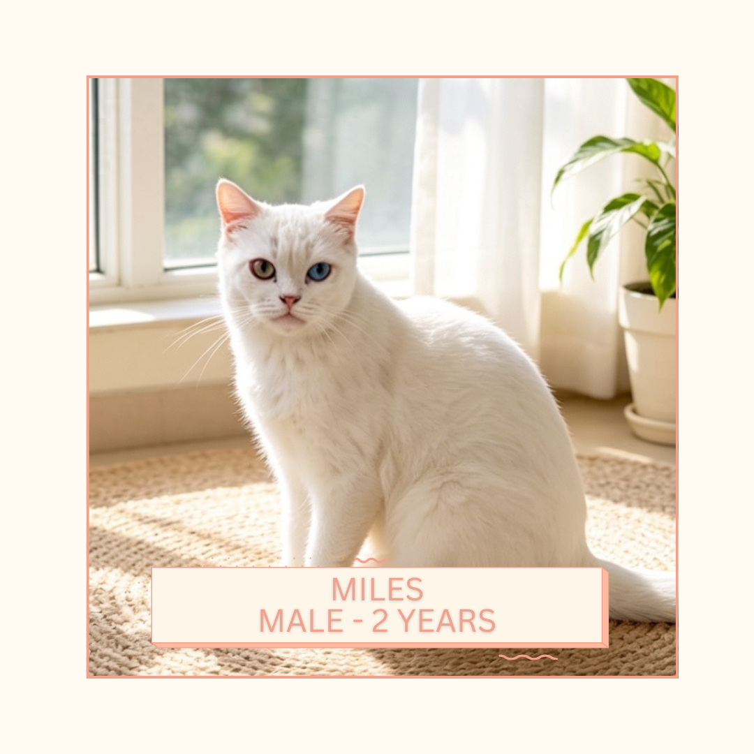 Miles