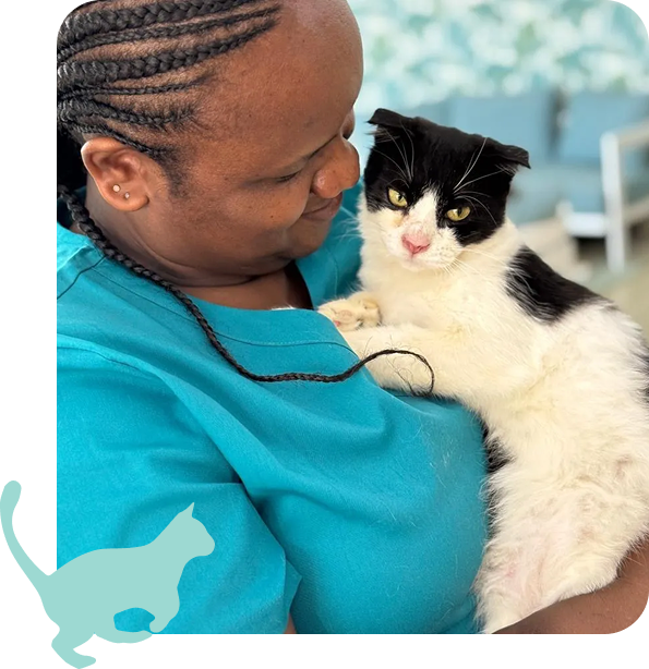 Vet with cat
